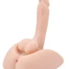 Penisli Erkek Kalça